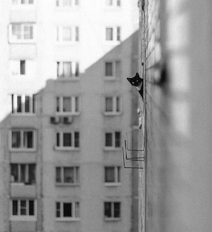 This Instagram Account Features Amusing Street Photographs And Has More Than 500 Thousand Followers (30 Pics)