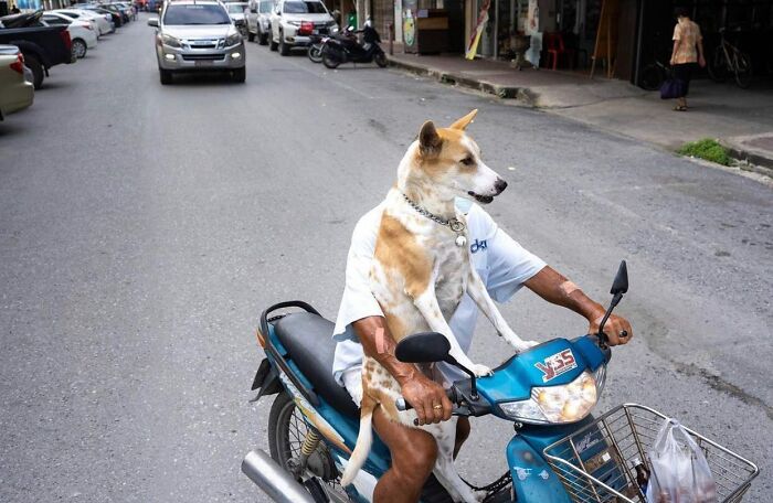 This Instagram Account Features Amusing Street Photographs And Has More Than 500 Thousand Followers (30 Pics)