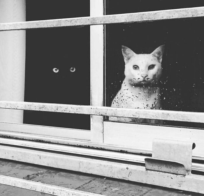 This Instagram Account Features Amusing Street Photographs And Has More Than 500 Thousand Followers (30 Pics)