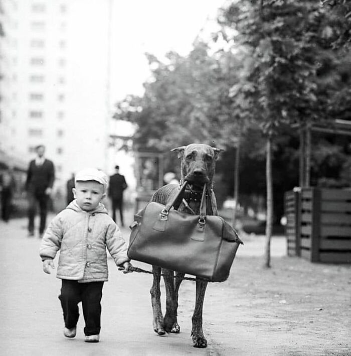 This Instagram Account Features Amusing Street Photographs And Has More Than 500 Thousand Followers (30 Pics)