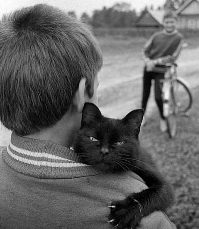 This Instagram Account Features Amusing Street Photographs And Has More Than 500 Thousand Followers (30 Pics)
