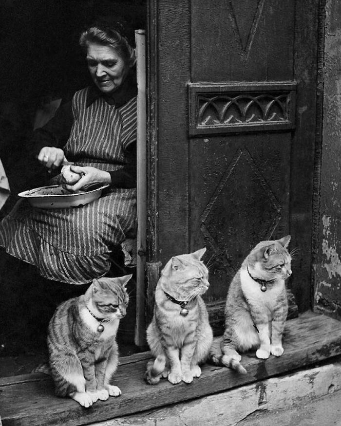This Instagram Account Features Amusing Street Photographs And Has More Than 500 Thousand Followers (30 Pics)