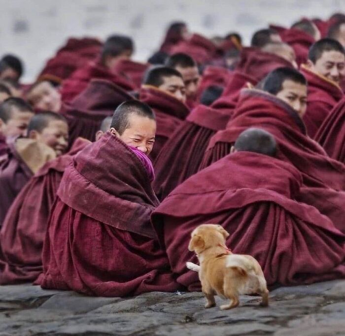 This Instagram Account Features Amusing Street Photographs And Has More Than 500 Thousand Followers (30 Pics)