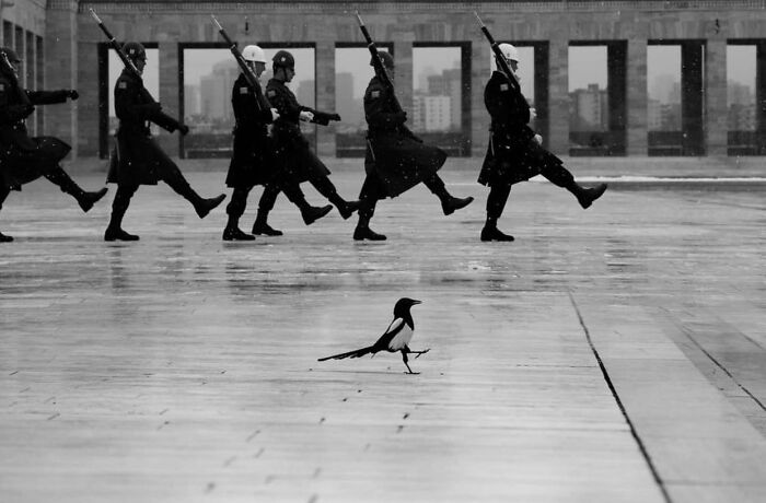 This Instagram Account Features Amusing Street Photographs And Has More Than 500 Thousand Followers (30 Pics)
