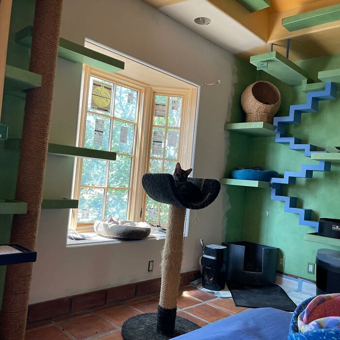 Este hombre diseñó la casa perfecta para sus más de 20 gatos rescatados