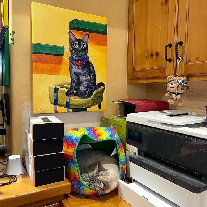 Este hombre diseñó la casa perfecta para sus más de 20 gatos rescatados