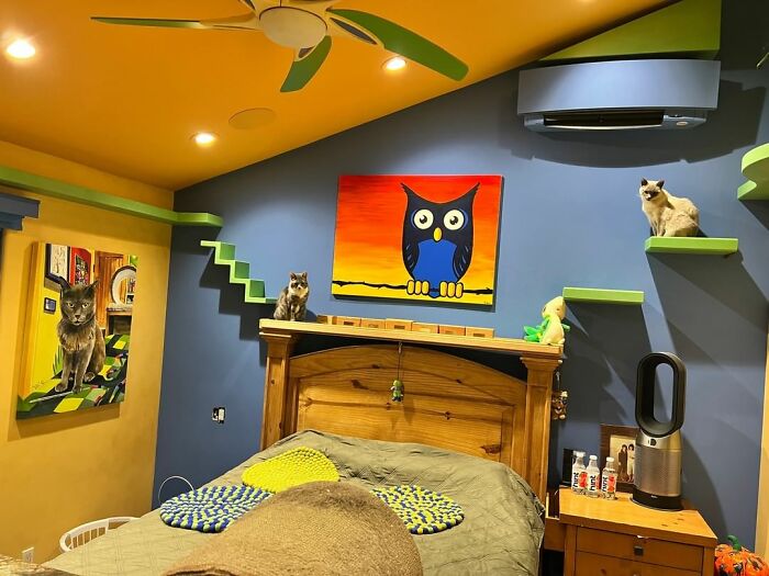 Este hombre diseñó la casa perfecta para sus más de 20 gatos rescatados