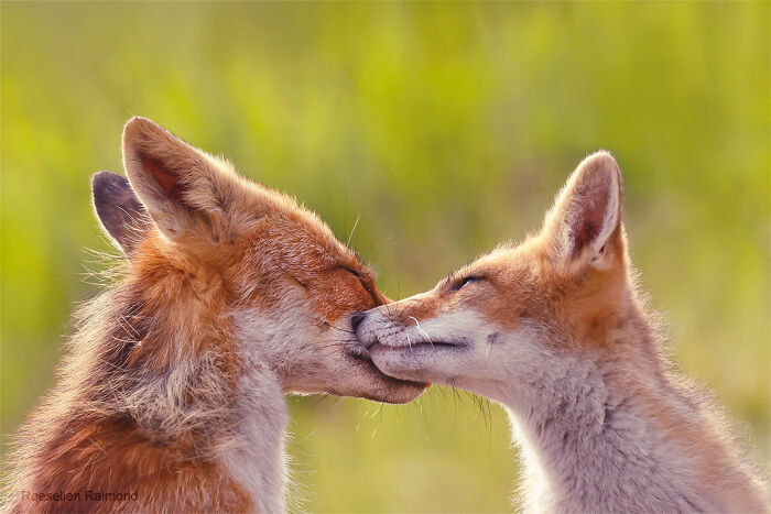 Mutual Love