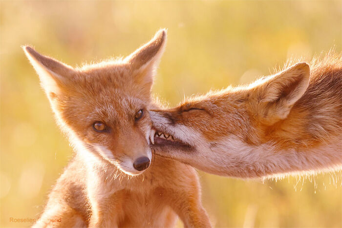 A Little Rough Love