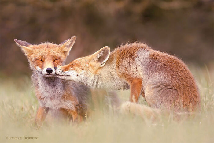 Kissing With Eyes Closed