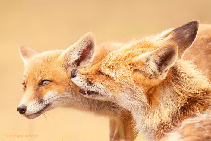 A Kiss In ‘Got To Clean That Face’ Disguise