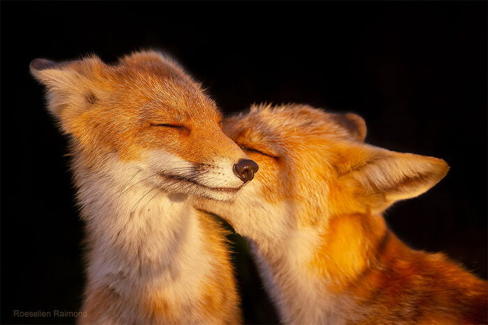 Whispering Sweet Little Nothings