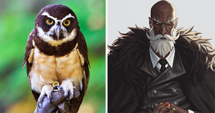 Este artista coreano transforma a los animales en personajes de animación manteniendo sus rasgos (17 imágenes nuevas)