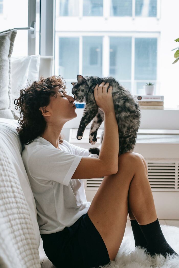 20 Datos sobre gatos que quizás nunca habías escuchado
