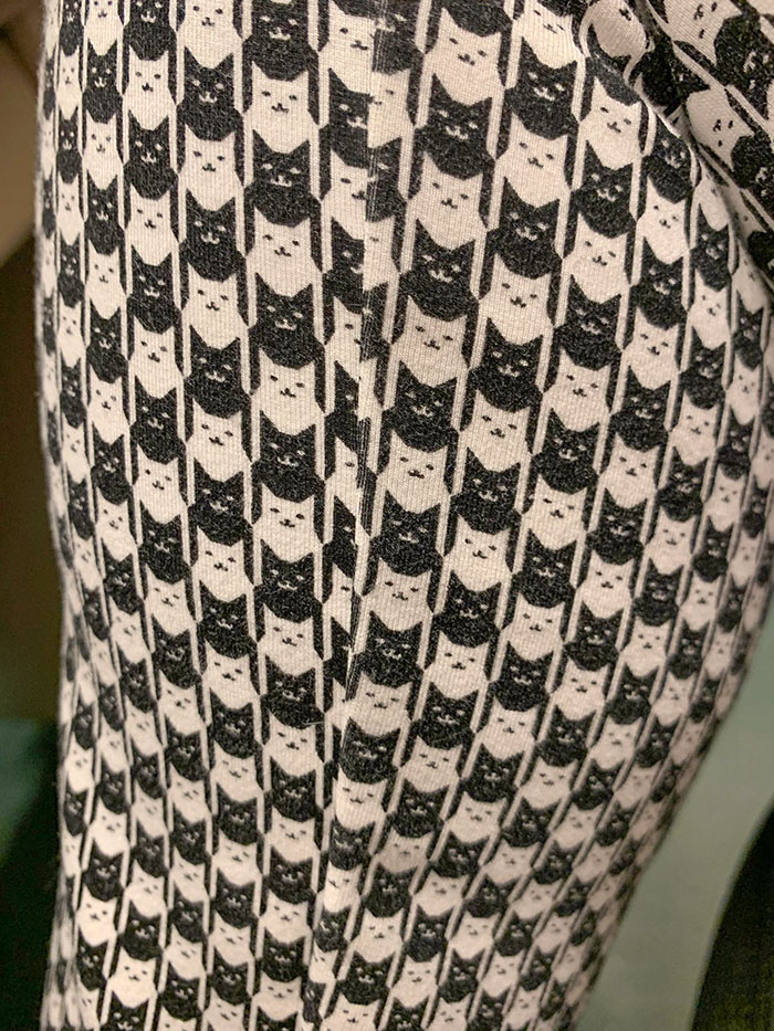 Estas medias son muchos gatos