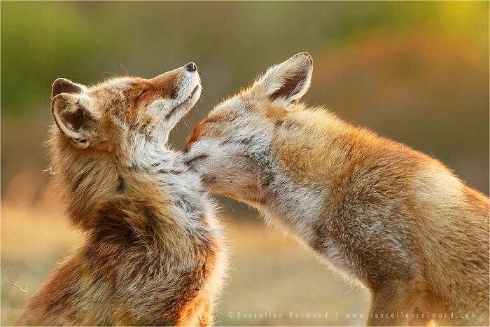 "That's The Spot"