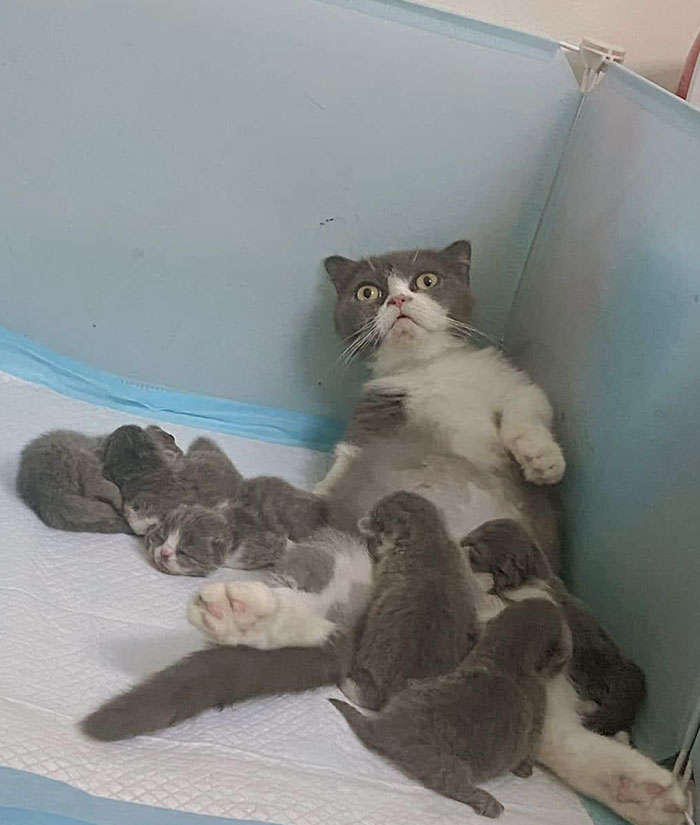 ¡Ayúdenme!