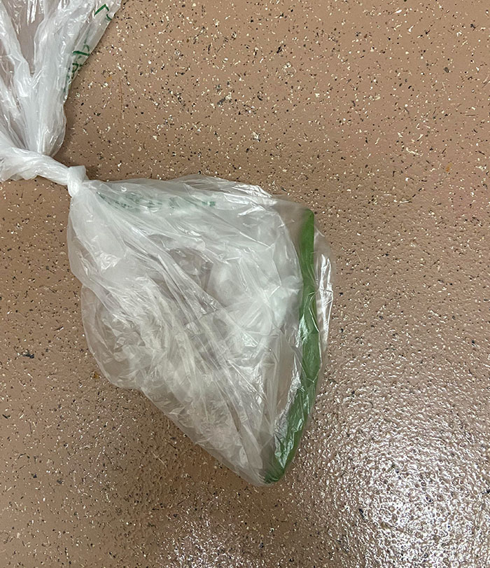 Pedí 450 gr de judías verdes por Internet y obtuve 1 judía verde muy solitaria