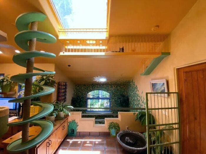 Este hombre diseñó la casa perfecta para sus más de 20 gatos rescatados