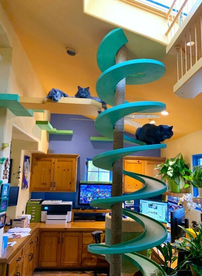 Este hombre diseñó la casa perfecta para sus más de 20 gatos rescatados