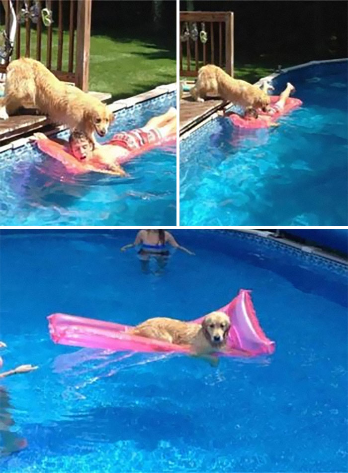 50 Of The Funniest Images From The 'Kids In Predicaments' Facebook Page