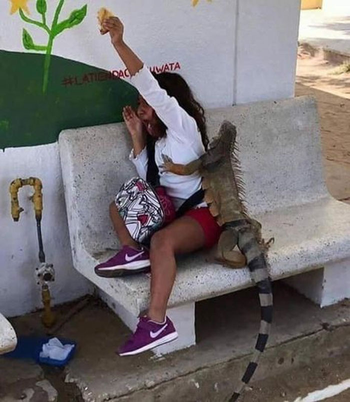 50 Of The Funniest Images From The 'Kids In Predicaments' Facebook Page