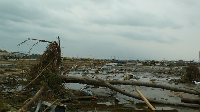 Cómo sobrevivir a un tsunami