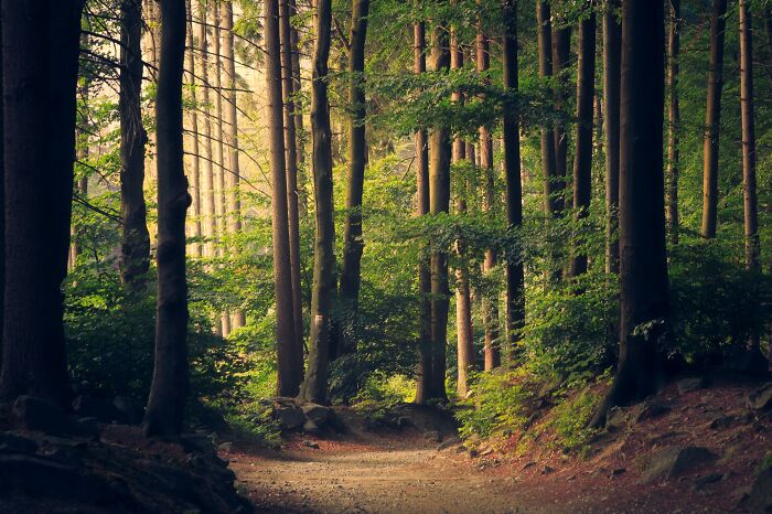 50 New ‘Today I Learned’ Facts That Prove It’s Never Too Late To Learn Something New