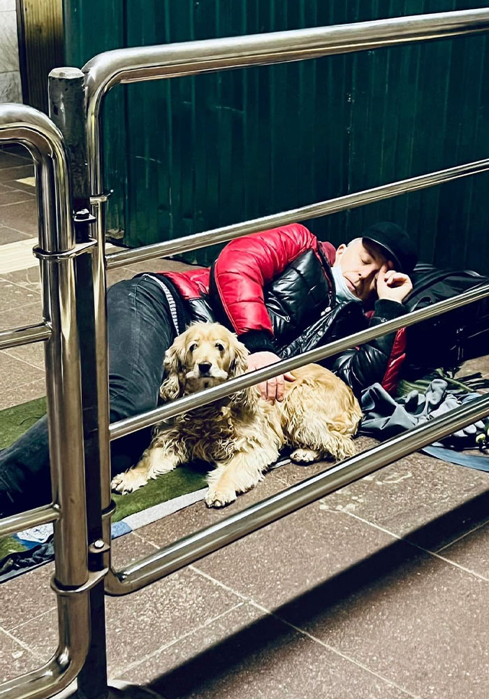 40 Photos Of Ukrainian Folks With Their Pets Amidst The War, Proving Just How Strong Human-Pet Love Can Really Be