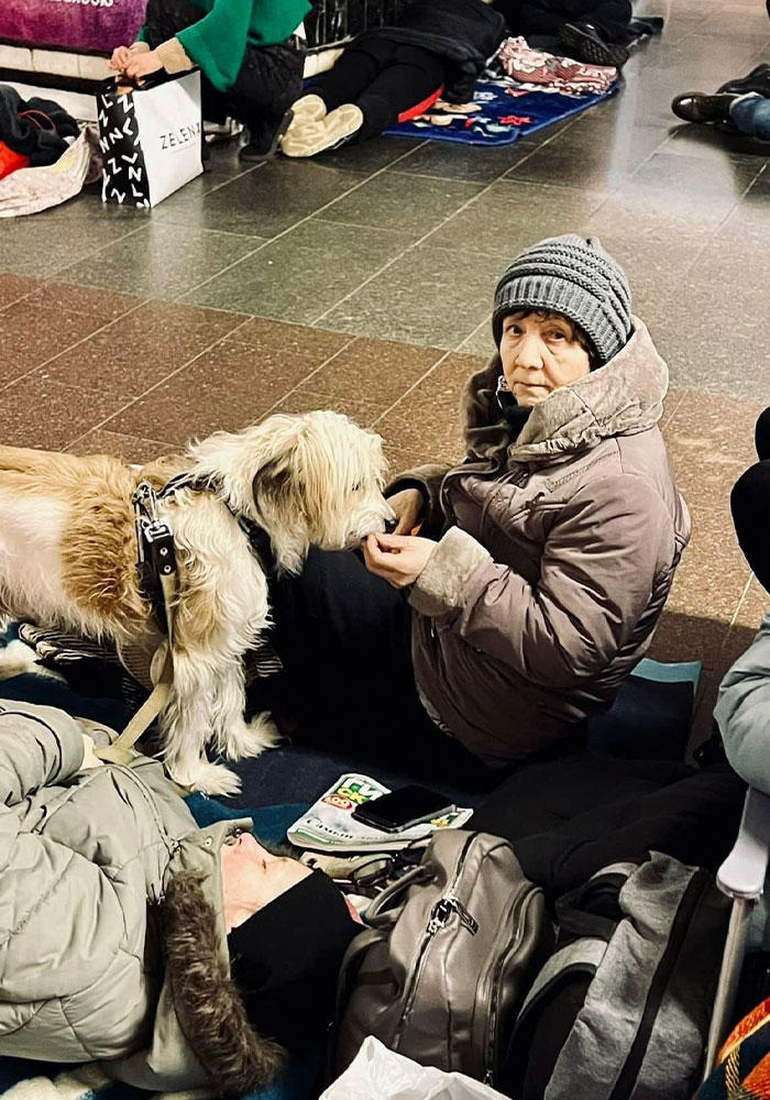 40 Photos Of Ukrainian Folks With Their Pets Amidst The War, Proving Just How Strong Human-Pet Love Can Really Be