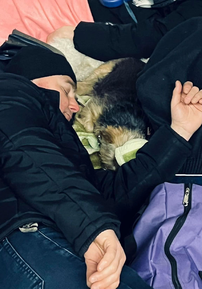 40 Photos Of Ukrainian Folks With Their Pets Amidst The War, Proving Just How Strong Human-Pet Love Can Really Be