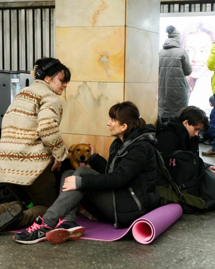 40 Photos Of Ukrainian Folks With Their Pets Amidst The War, Proving Just How Strong Human-Pet Love Can Really Be