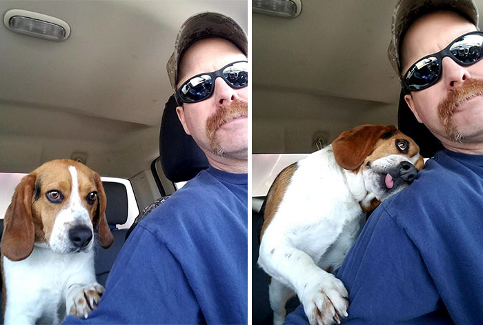 "Me has salvado la vida. Sabía que iba a morir en ese refugio, pero tú me has salvado hoy" - Un perro, salvado de la eutanasia, agradece a su salvador