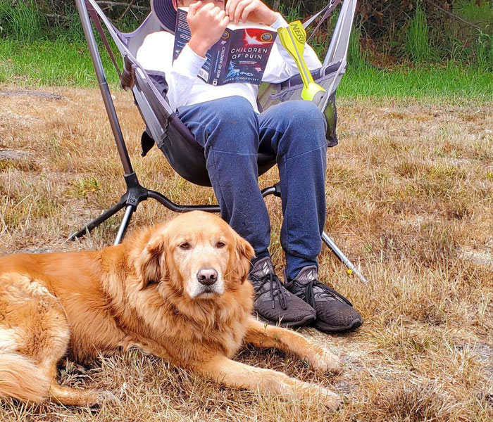 Esta librería se vuelve incluso más mágica cuando un Golden retriever se convierte en el jefe