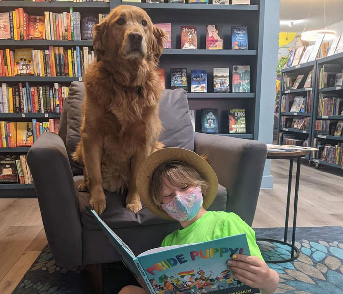 Esta librería se vuelve incluso más mágica cuando un Golden retriever se convierte en el jefe