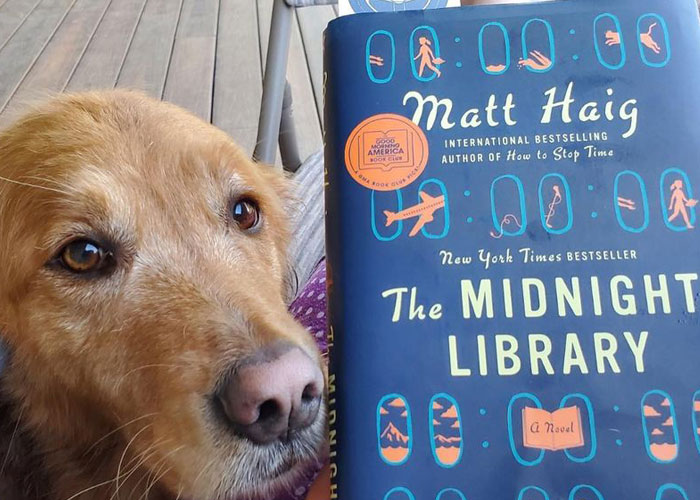 Esta librería se vuelve incluso más mágica cuando un Golden retriever se convierte en el jefe