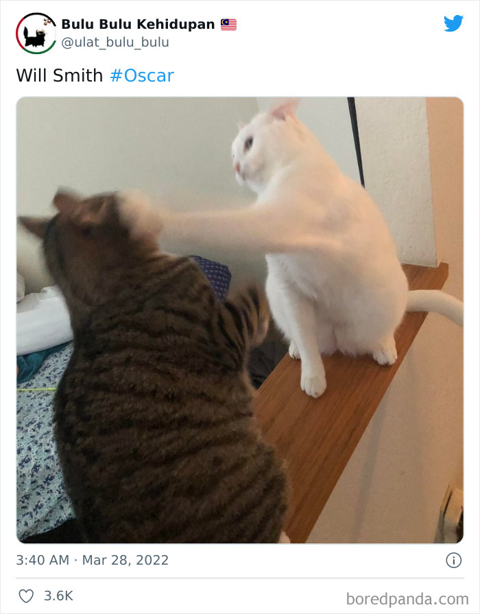 Here’s How People Reacted To Will Smith Slapping Chris Rock During The Live Oscars Broadcast (40 Posts)