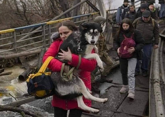Esta mujer carga con su gato mientras lo consuela ante el sonido de las alarmas de ataque aéreo en Kyiv, Ucrania
