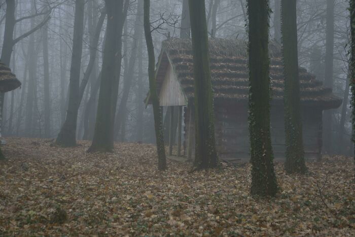 Cabaña cerca de Lviv