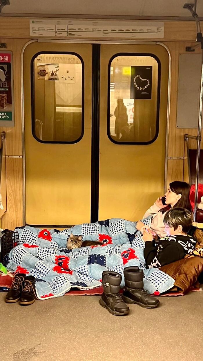 “Todo cambió cuando empezó la guerra”: Así se vive en un refugio antibombas de Kyiv cuando eres un gato