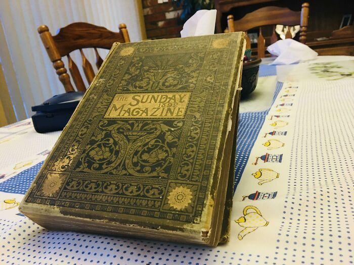 Libro de 1892 encontrado en un agujero en la pared en un piso de alquiler