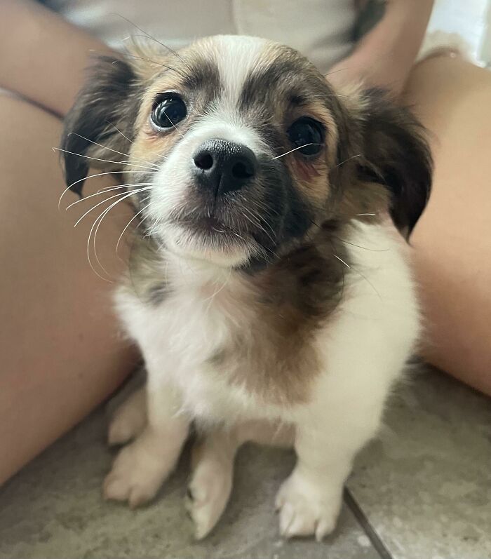 Diego