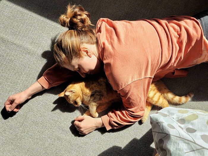 Después de querer uno durante 15 años, mi esposa finalmente adoptó un gato ayer. Así es como los encontré juntos cuando subí a ver al gato