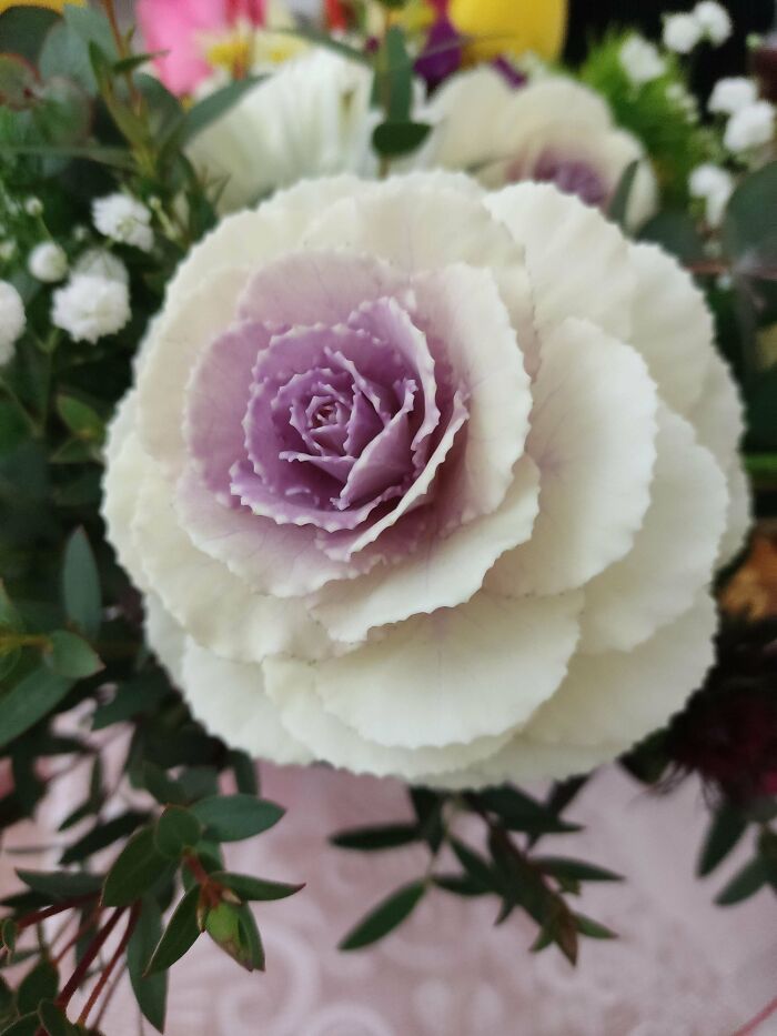 El novio de mi hermana le ha regalado esta flor