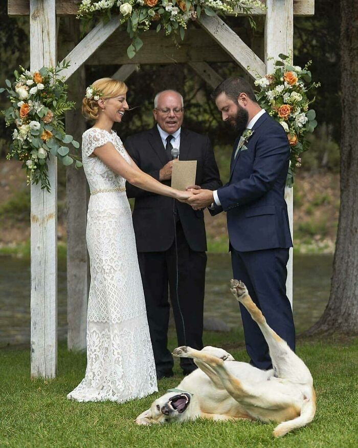 Alguien no se tomó en serio todo este asunto de la boda…