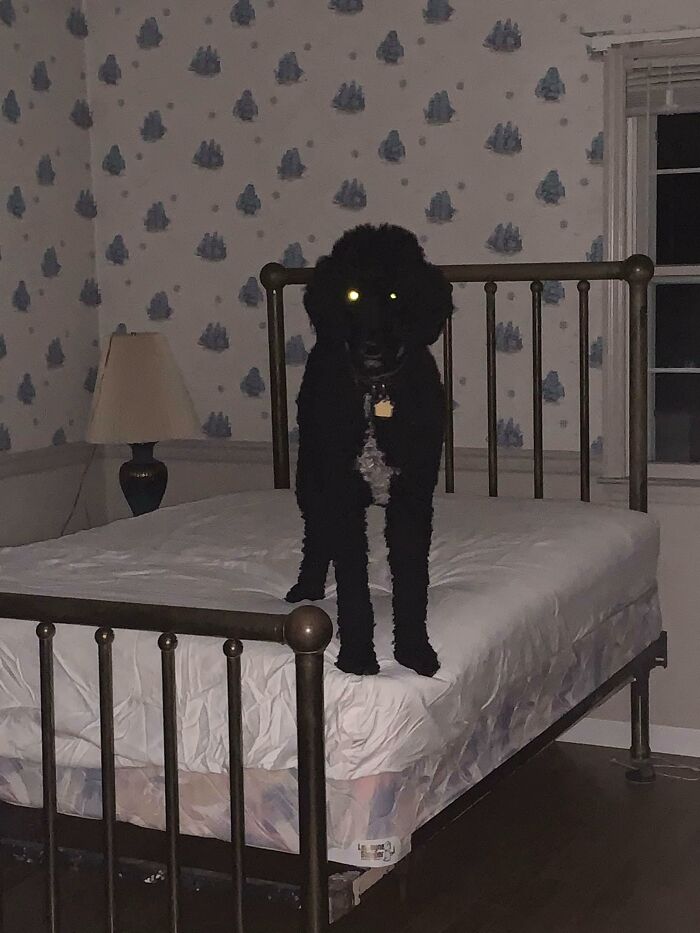 30 Best ‘Bedrooms With Threatening Auras’ Shared On This Hilarious Facebook Group