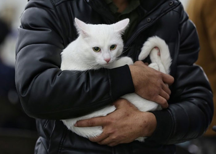 Esta mujer carga con su gato mientras lo consuela ante el sonido de las alarmas de ataque aéreo en Kyiv, Ucrania