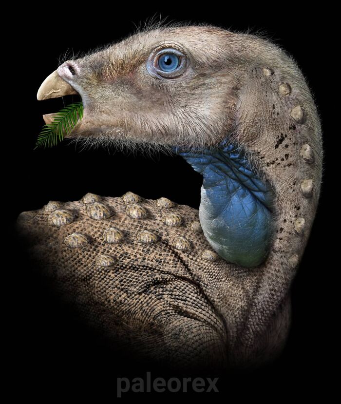 Scutellosaurus