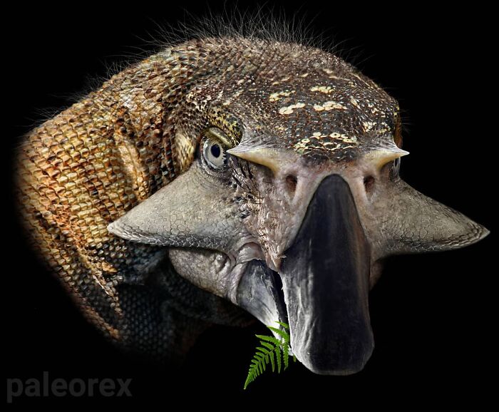 Psittacosaurus