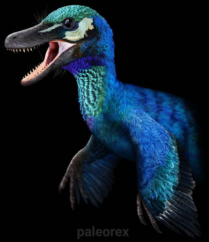 Pyroraptor